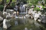 Chinese Garden of Friendship
